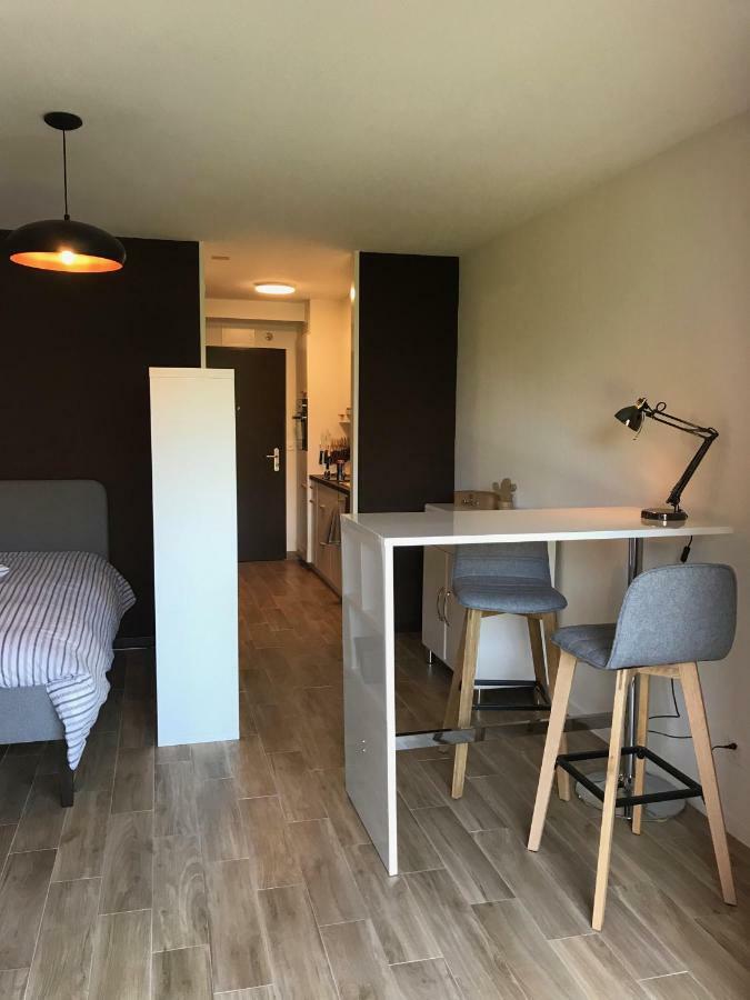 Ecublens  Large Studio Near Epfl And Lausanne City Center מראה חיצוני תמונה